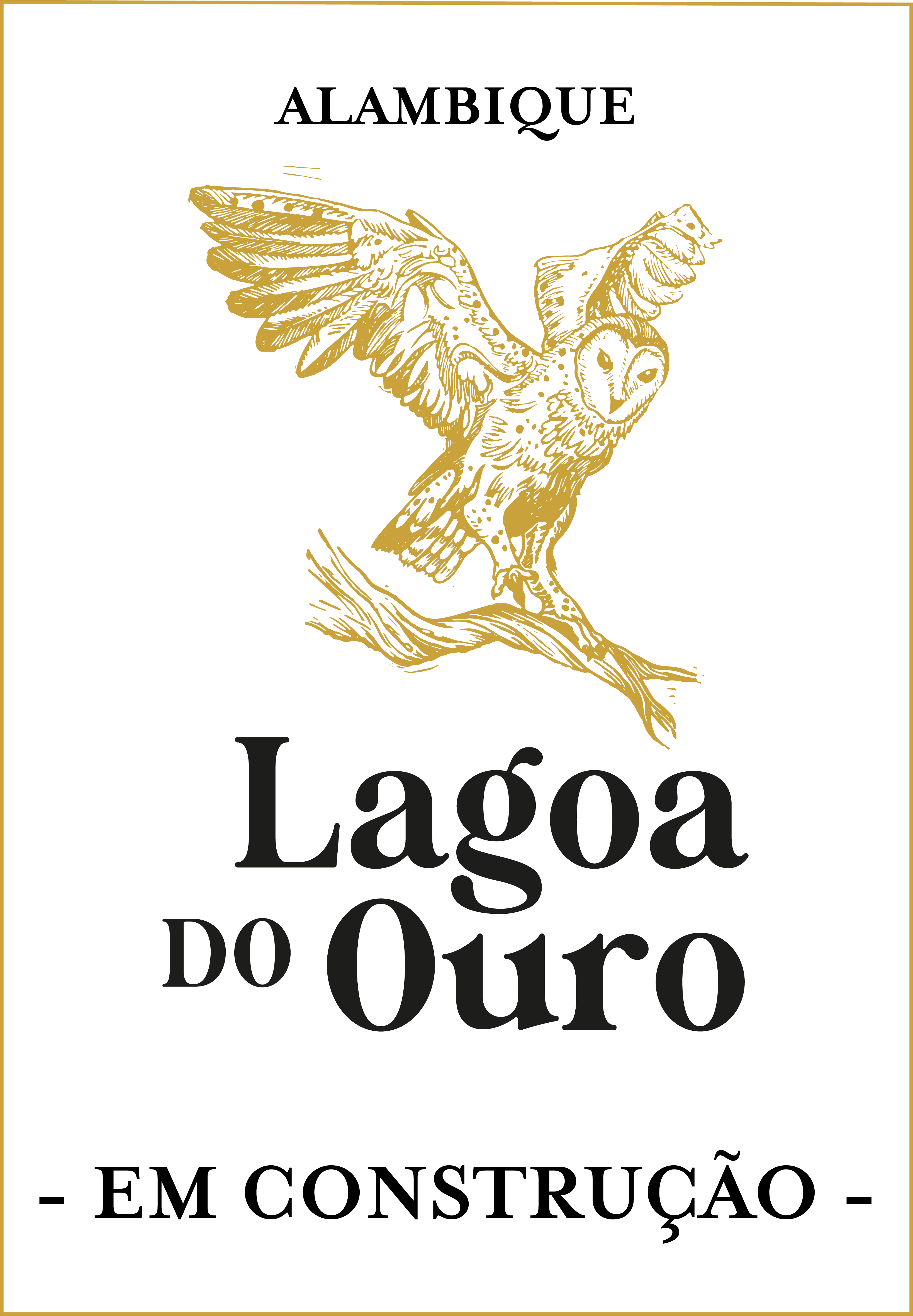 Imagem indicando que o site est� em constru��o